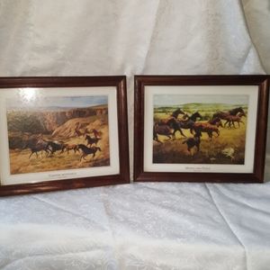 John Leone - Canyon Mustangs & Mare and Foals